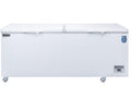 BD/BG-520